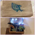 Seahawks Box for Men