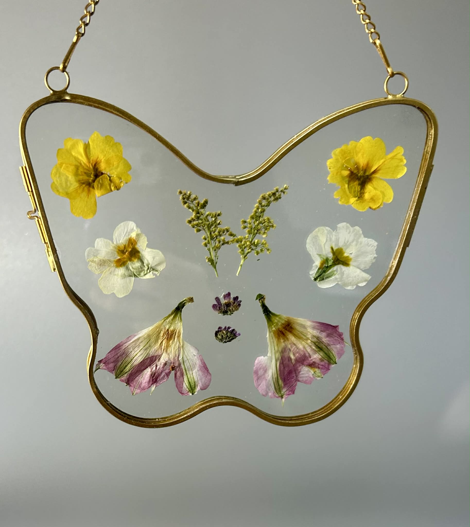 Butterfly with pressed flowers